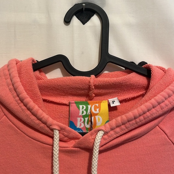 Big Bud Press Hoodie - Picture 3 of 4
